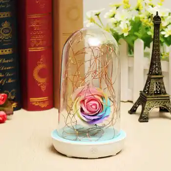 Smuxi 2W Enchanted LED Flower Lamp Night Light Flower Bottle C reative Romantic Rose Bulb Great Holiday Gift For USB Charging
Smuxi 2W Enchanted LED Flower Lamp Night Light Flower Bottle C reative Romantic Rose Bulb Great Holiday Gift For USB Charging
