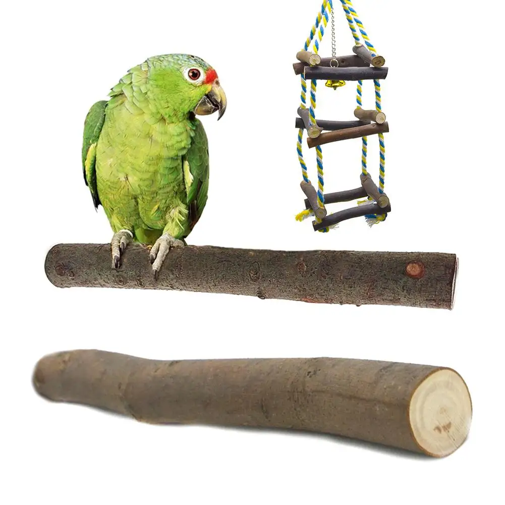 Parrot Pet Bird Chew Cages Hang Toy Climbing Frame Ladder Small Medium Parrot Swing Toy For Conures Parakeets Cockatiel Budgie
Parrot Pet Bird Chew Cages Hang Toy Climbing Frame Ladder Small Medium Parrot Swing Toy For Conures Parakeets Cockatiel Budgie
