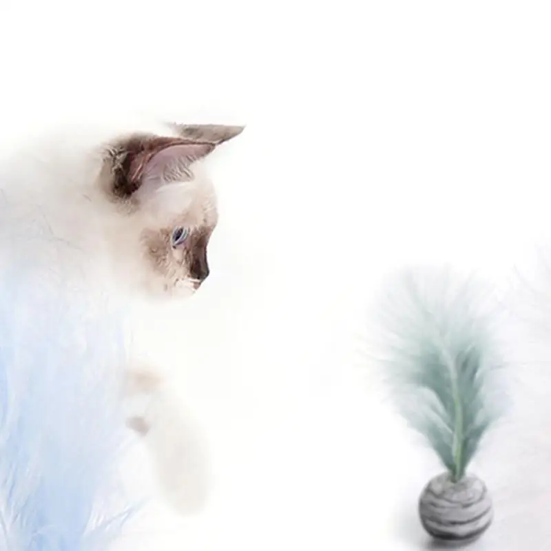 Cat Toy Star Ball Plus Feather EVA Material Light Foam Ball Throwing Toy For Fetch Training Chewing And Teething Pet Supplies