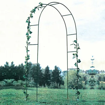 Simple outdoor wrought iron arch flower stand vine frame road lead frame vine moon grape gourd climbing reinforced flower stand
Simple outdoor wrought iron arch flower stand vine frame road lead frame vine moon grape gourd climbing reinforced flower stand