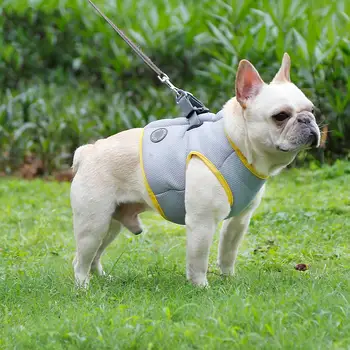 High-quality Fabric Dog Cooling Vest Cool Summer Dog Harness Vest Coat Puppy Dog Pets For Keep Your Pets Cool
High-quality Fabric Dog Cooling Vest Cool Summer Dog Harness Vest Coat Puppy Dog Pets For Keep Your Pets Cool