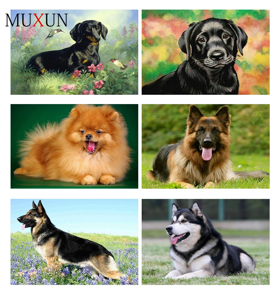 Muxun 5D Diamond Painting Full Square Dog 5D Diy Diamond Embroidery Picture Mosaic Rhinestone Handmade Gift Home Decor Rp252
Muxun 5D Diamond Painting Full Square Dog 5D Diy Diamond Embroidery Picture Mosaic Rhinestone Handmade Gift Home Decor Rp252