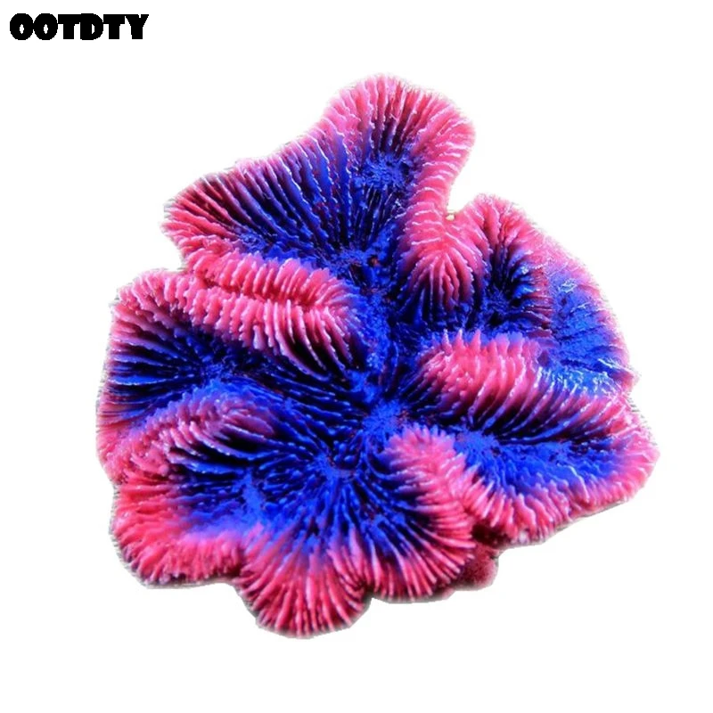 Aquarium Decorations Simulation Coralline Real Reef Frag Fish Tank Ornaments Resin Material Eco-friendly Beautiful Landscaping A
Aquarium Decorations Simulation Coralline Real Reef Frag Fish Tank Ornaments Resin Material Eco-friendly Beautiful Landscaping A