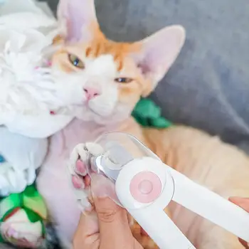 Pet Nail Clippers With LED Light 5x Magnifier Dogs Cutter Grooming Nail Trimmer Cats Claw M6W2
Pet Nail Clippers With LED Light 5x Magnifier Dogs Cutter Grooming Nail Trimmer Cats Claw M6W2