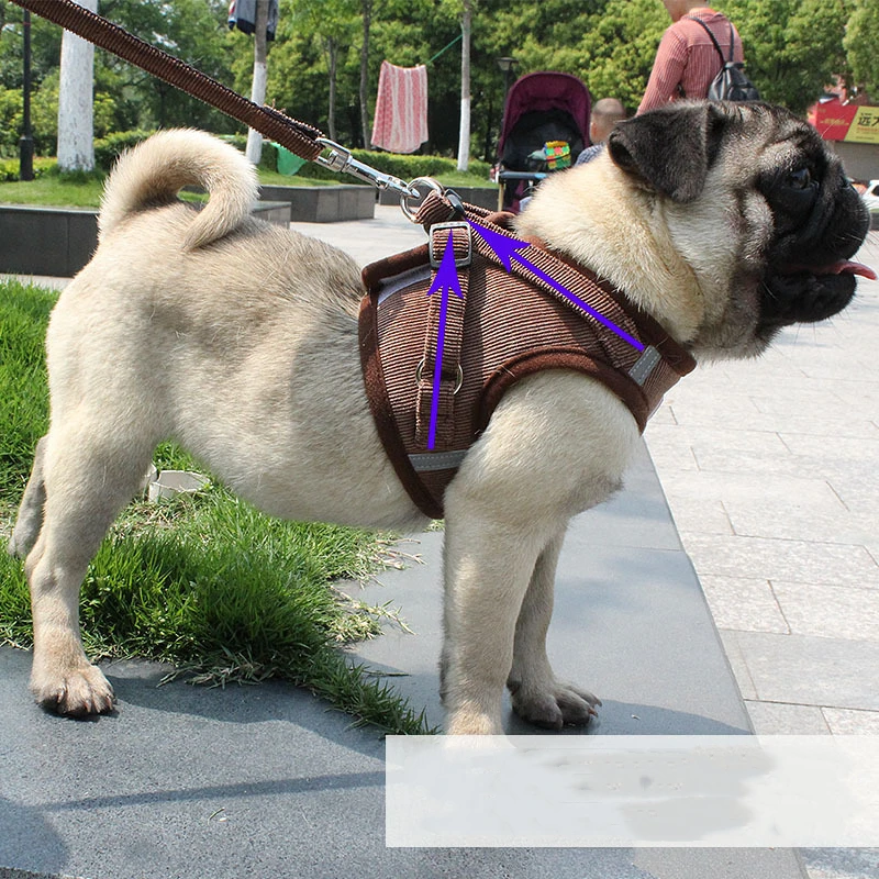 Newest Mesh Padded Dog Harness and Leash Set Corduroy Cat Vest Puppy Dogs Chihuahua Yorkies Pug French Bulldog Pet Shop
Newest Mesh Padded Dog Harness and Leash Set Corduroy Cat Vest Puppy Dogs Chihuahua Yorkies Pug French Bulldog Pet Shop