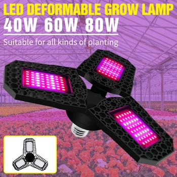 Led Indoor Grow Lamp AC85-265V Led Phyto Light Deformable 40W 60W 80W Led Full Spectrum Growing Lamp Grow Tent Seedling Flowers
Led Indoor Grow Lamp AC85-265V Led Phyto Light Deformable 40W 60W 80W Led Full Spectrum Growing Lamp Grow Tent Seedling Flowers