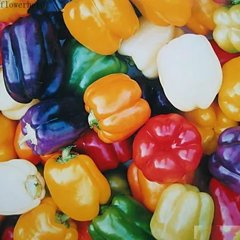 100 Seeds Growing Vegetables on The Balcony, Multicolored Bell Peppers, Bell Peppers, Bell Peppers and Pepper Seeds Garden Tools
100 Seeds Growing Vegetables on The Balcony, Multicolored Bell Peppers, Bell Peppers, Bell Peppers and Pepper Seeds Garden Tools