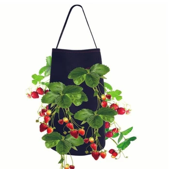 Grow Container Bag DIY Planter Cloth Planting Vegetable Gardening Thicken Vegetable Pot Planting Grow Bag Durable Garden Tool
Grow Container Bag DIY Planter Cloth Planting Vegetable Gardening Thicken Vegetable Pot Planting Grow Bag Durable Garden Tool