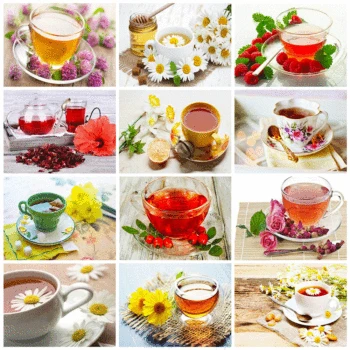 Evershine 5D DIY Full Square Diamond Painting Tea Scenery Diamond Embroidery Sale Cup Rhinestone Picture Mosaic Home Decoration
Evershine 5D DIY Full Square Diamond Painting Tea Scenery Diamond Embroidery Sale Cup Rhinestone Picture Mosaic Home Decoration