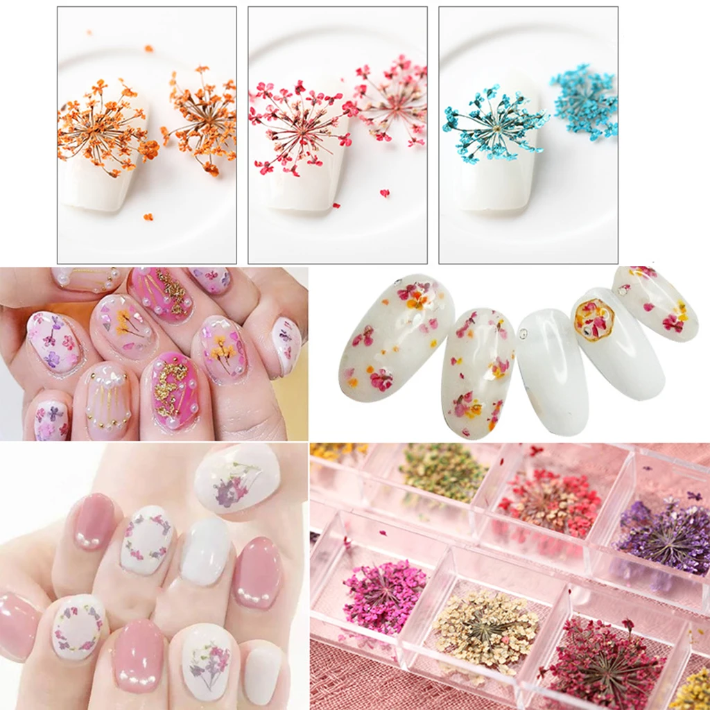 50pcs Natural Dried Flower Real Flower Forget-me-not for Card Making Craft 50pcs Natural Dried Flower Real Flower Forget-me-not for Card Making Craft