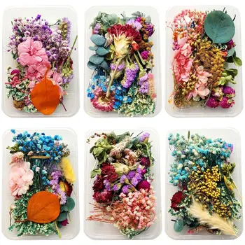 1Box Crystal Epoxy Filler Dry Flower Mixed Nail Stickers Decorations Resin Filling Material Jewelry Making Accessories
1Box Crystal Epoxy Filler Dry Flower Mixed Nail Stickers Decorations Resin Filling Material Jewelry Making Accessories