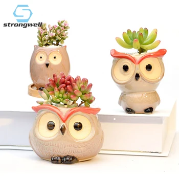 Strongwell Fairy Garden Decoration Ceramic Flower Pos Cute Owl Miniature Model Succulent Flower Pot Planter Desktop Decorations
Strongwell Fairy Garden Decoration Ceramic Flower Pos Cute Owl Miniature Model Succulent Flower Pot Planter Desktop Decorations