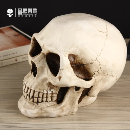 Money Saving Jar Skull Money Box Coin Bank Creative European Style Money Boxes Holiday Gift Salvadanaio Piggy Banks ED50MB
Money Saving Jar Skull Money Box Coin Bank Creative European Style Money Boxes Holiday Gift Salvadanaio Piggy Banks ED50MB