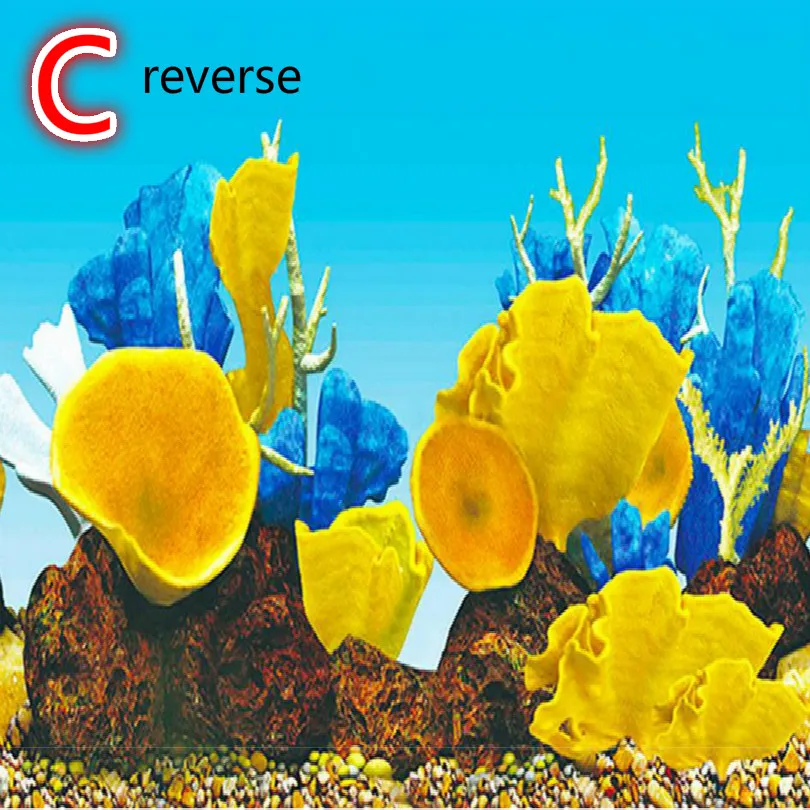 C2