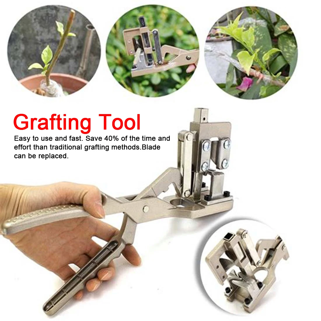 Garden Tree Pruning Shears Scissor Grafting Cutting Grafting Tool Sharp V Type Blade for Garden Fruit Trees and Vines
Garden Tree Pruning Shears Scissor Grafting Cutting Grafting Tool Sharp V Type Blade for Garden Fruit Trees and Vines