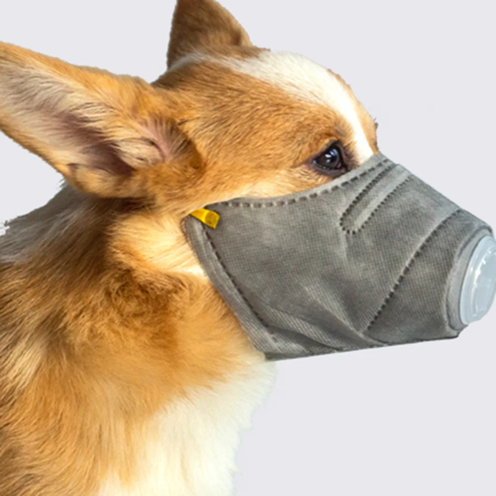 Adjustable Strap Dog Protective Muzzle Mask Adjustable Breathable Anti Fog Smoke PM2.5 Puppy Mouth Guard Mask Cover
Adjustable Strap Dog Protective Muzzle Mask Adjustable Breathable Anti Fog Smoke PM2.5 Puppy Mouth Guard Mask Cover