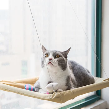 Window Mounted Pet Bed Suction Cup Hanging Sunshine Hammock Perch Cushion for Cat HUG-Deals
Window Mounted Pet Bed Suction Cup Hanging Sunshine Hammock Perch Cushion for Cat HUG-Deals