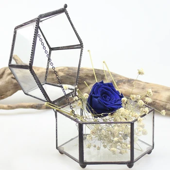 Glass Clear Terrarium Box Tabletop Succulent Planter Fern Moss Plant Pot 125*115*95mm for Home Garden Decoration 
Glass Clear Terrarium Box Tabletop Succulent Planter Fern Moss Plant Pot 125*115*95mm for Home Garden Decoration