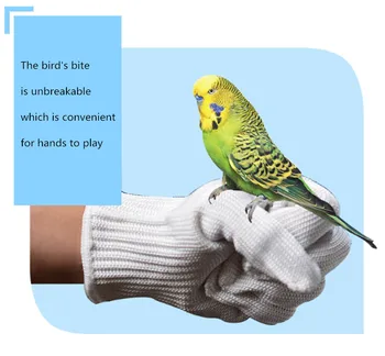 Parrot anti-biting glove pet catch bird tiger skin small sun release parrot training wire glove bird accessories supplies
Parrot anti-biting glove pet catch bird tiger skin small sun release parrot training wire glove bird accessories supplies