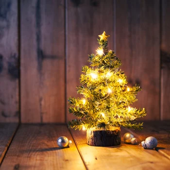 Mini Desktop Christmas Tree with LED Lamps Artificial Plant Christmas Ornament for Home Wedding New Year Xmas Gift for Kids
Mini Desktop Christmas Tree with LED Lamps Artificial Plant Christmas Ornament for Home Wedding New Year Xmas Gift for Kids