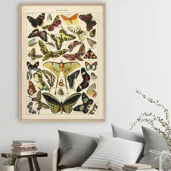 Butterfly Insect Vintage Poster Print Biology Education Wall Art Picture Modern Study Room Decoration Poster Kraft paper
Butterfly Insect Vintage Poster Print Biology Education Wall Art Picture Modern Study Room Decoration Poster Kraft paper