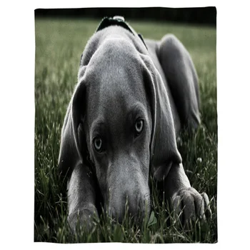 Doberman Black Dog Meadow Spring and Autumn Soft Flannel Blanket Office Siesta Blanket Sofa Bed Blanket
Doberman Black Dog Meadow Spring and Autumn Soft Flannel Blanket Office Siesta Blanket Sofa Bed Blanket