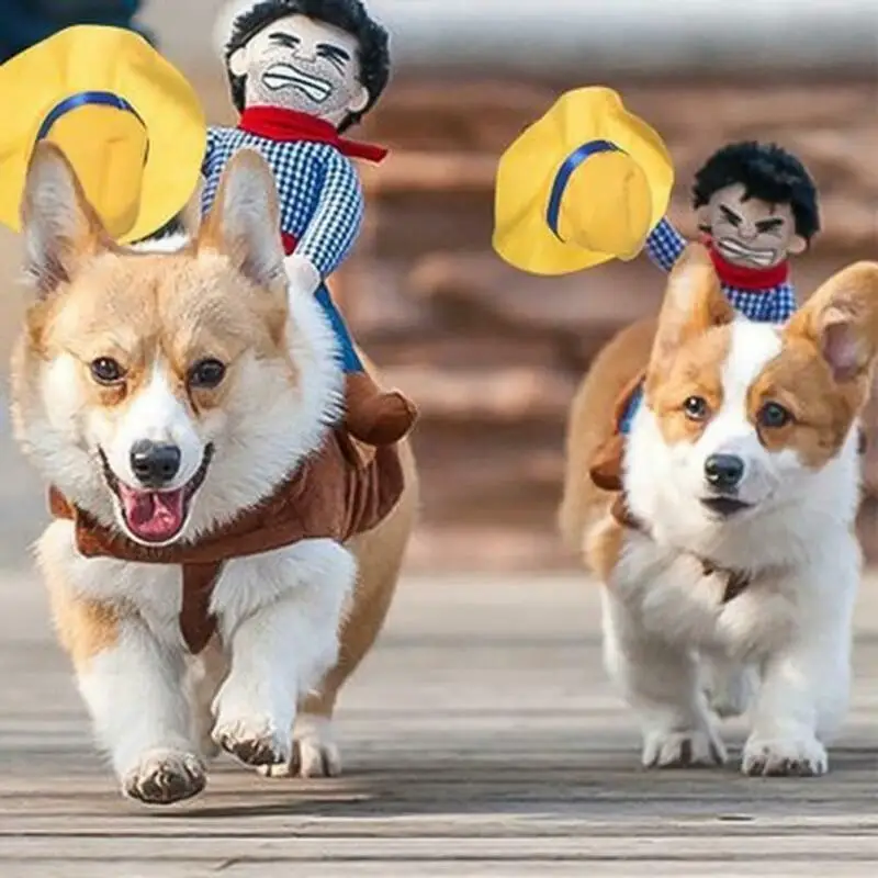 Dogs Pet Cat Funny Dress up Cosplay Party Halloween Costume Outfit Coat Jacket Cowboy Rider Style Costume Pet Suit Dog Wearing
Dogs Pet Cat Funny Dress up Cosplay Party Halloween Costume Outfit Coat Jacket Cowboy Rider Style Costume Pet Suit Dog Wearing