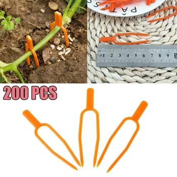 100PC/200PC Strawberry Fork Tomato Garden Plant Support Fixing Clip Trellis melon Vine
100PC/200PC Strawberry Fork Tomato Garden Plant Support Fixing Clip Trellis melon Vine