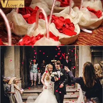 1000pcs Artificial Rose Petals Wedding Accessories Wedding Decoration Fabric Wedding Rose Petals 5x5cm
1000pcs Artificial Rose Petals Wedding Accessories Wedding Decoration Fabric Wedding Rose Petals 5x5cm