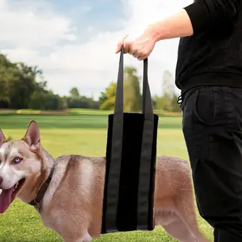 Pets Care Dog Auxiliary Belt Dog Harness Adjustable Legs Belt Hip Brace Harness for Elder Sick Disabled Dogs Arthritis
Pets Care Dog Auxiliary Belt Dog Harness Adjustable Legs Belt Hip Brace Harness for Elder Sick Disabled Dogs Arthritis
