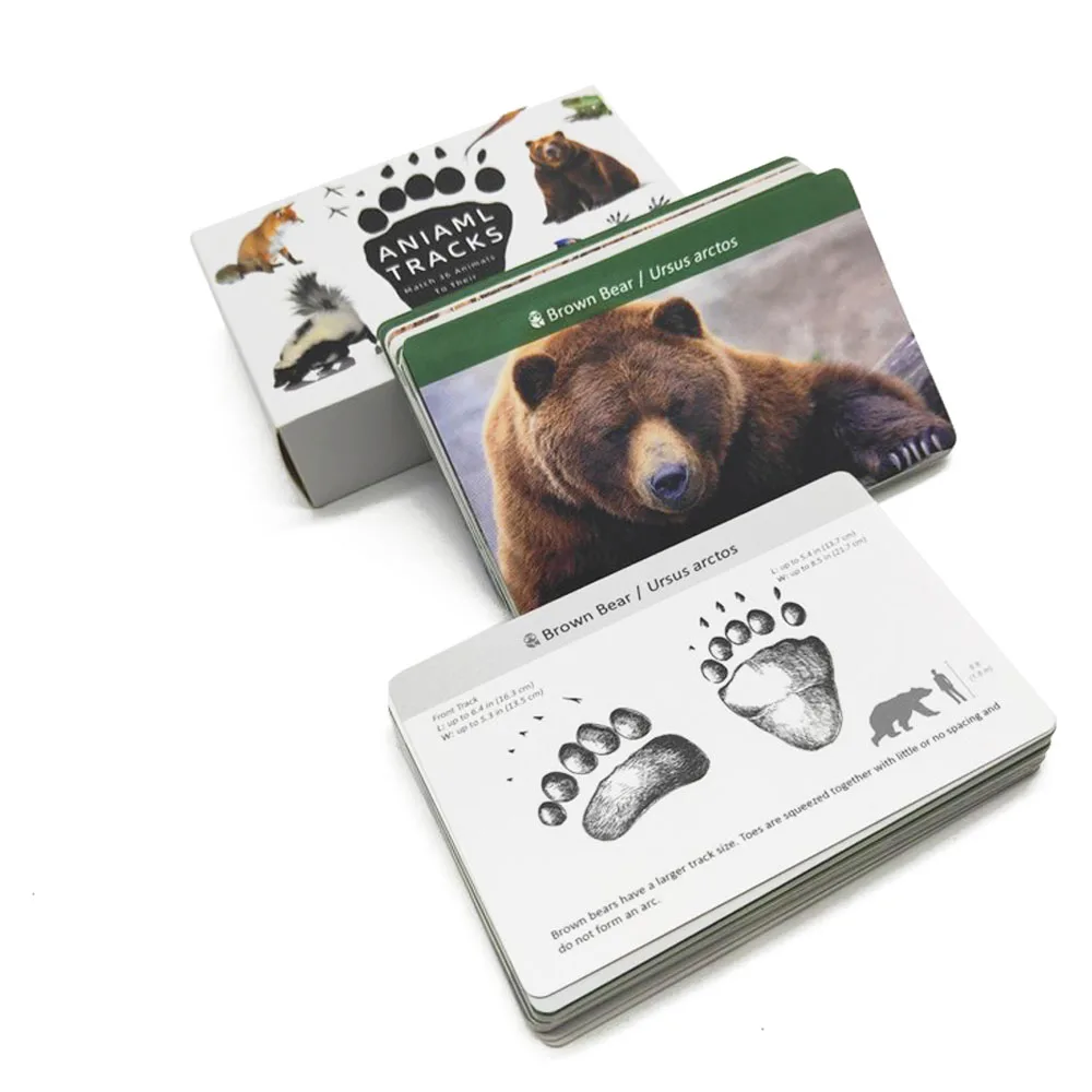 Montessori Materisl Baby English Animal Flash Card Card Animal Footprint Toy English Word Children Educational Early Learning
Montessori Materisl Baby English Animal Flash Card Card Animal Footprint Toy English Word Children Educational Early Learning