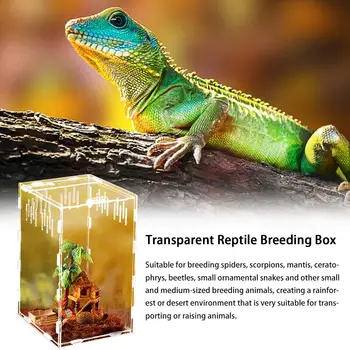 Transparent Reptile Breeding Box Acrylic Feeding Box 360 Degree High Transparent Magnetic Pet Reptile Cage Terrarium 20E
Transparent Reptile Breeding Box Acrylic Feeding Box 360 Degree High Transparent Magnetic Pet Reptile Cage Terrarium 20E