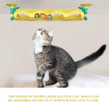 Cat Educational Toys Track Ball Pet Supplies for Cats Solid and Durable Sports Catnip Toys Plastic
Cat Educational Toys Track Ball Pet Supplies for Cats Solid and Durable Sports Catnip Toys Plastic