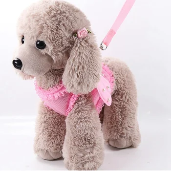 Cute Pet Harness Leashes Angel Wing Princess Puppy Pearl Accessories Adjustable Leashes For Small Medium Large Dogs 
Cute Pet Harness Leashes Angel Wing Princess Puppy Pearl Accessories Adjustable Leashes For Small Medium Large Dogs
