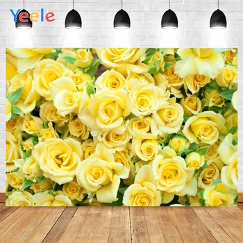 Yeele Yellow Rose Flowers Green Leaves Beautiful Room Background Photophone Photo Studio Photography for Decor Customized Size
Yeele Yellow Rose Flowers Green Leaves Beautiful Room Background Photophone Photo Studio Photography for Decor Customized Size