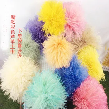 Wedding Flower Yellow Pampas Grass Natural Dry Flower Bunch Windowcase Flowers Color Phragmites Communis Artificial Plants
Wedding Flower Yellow Pampas Grass Natural Dry Flower Bunch Windowcase Flowers Color Phragmites Communis Artificial Plants
