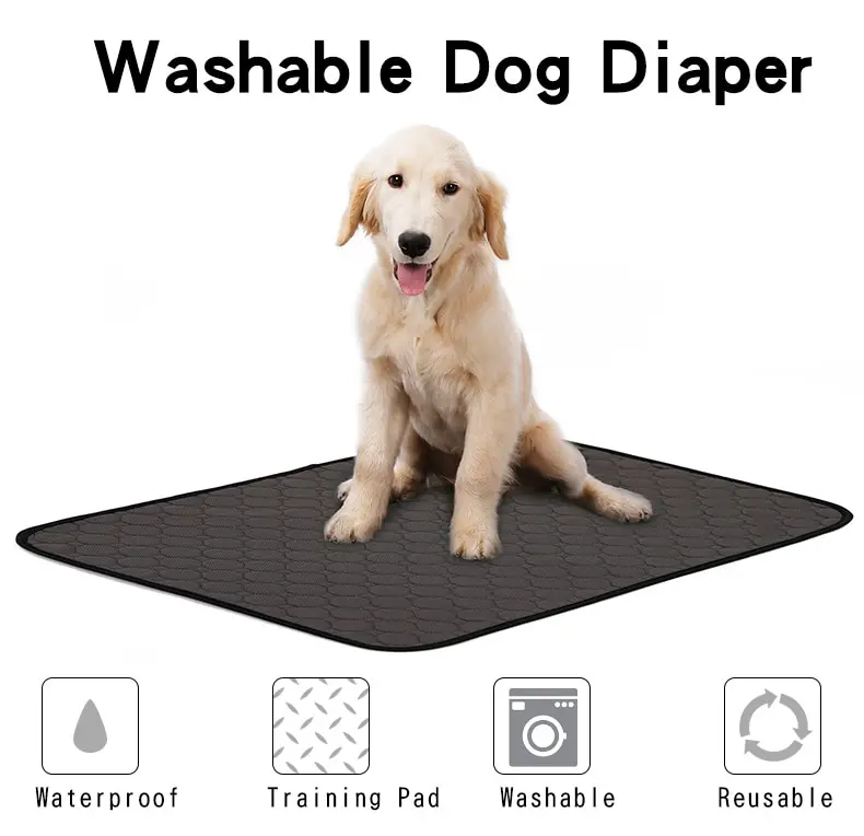 Reusable Diapers for Dog Urine Water Absorbency Diaper Sleeping Bed for Small Dog Pet Dog Absorbent Mat Puppy Training Pad
Reusable Diapers for Dog Urine Water Absorbency Diaper Sleeping Bed for Small Dog Pet Dog Absorbent Mat Puppy Training Pad