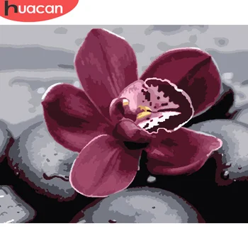 HUACAN Paint By Number Flowers Drawing On Canvas Gift DIY Pictures By Numbers Lotus Kits Hand Painted Painting Art Home Decor
HUACAN Paint By Number Flowers Drawing On Canvas Gift DIY Pictures By Numbers Lotus Kits Hand Painted Painting Art Home Decor