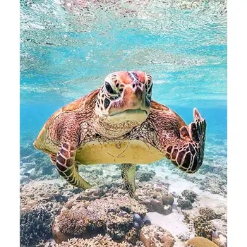 5D Diamond Painting Peach by Number Kits, Painting Cross Stitch Full Drill
5D Diamond Painting Peach by Number Kits, Painting Cross Stitch Full Drill