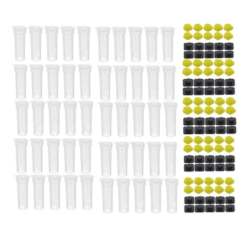 Promotion! 50PCS Bee Queen Cages Plastic Protective Cover Cage Cell Box Cup Rearing Bees King Tools Beekeeper Beekeeping Bet Bee
Promotion! 50PCS Bee Queen Cages Plastic Protective Cover Cage Cell Box Cup Rearing Bees King Tools Beekeeper Beekeeping Bet Bee