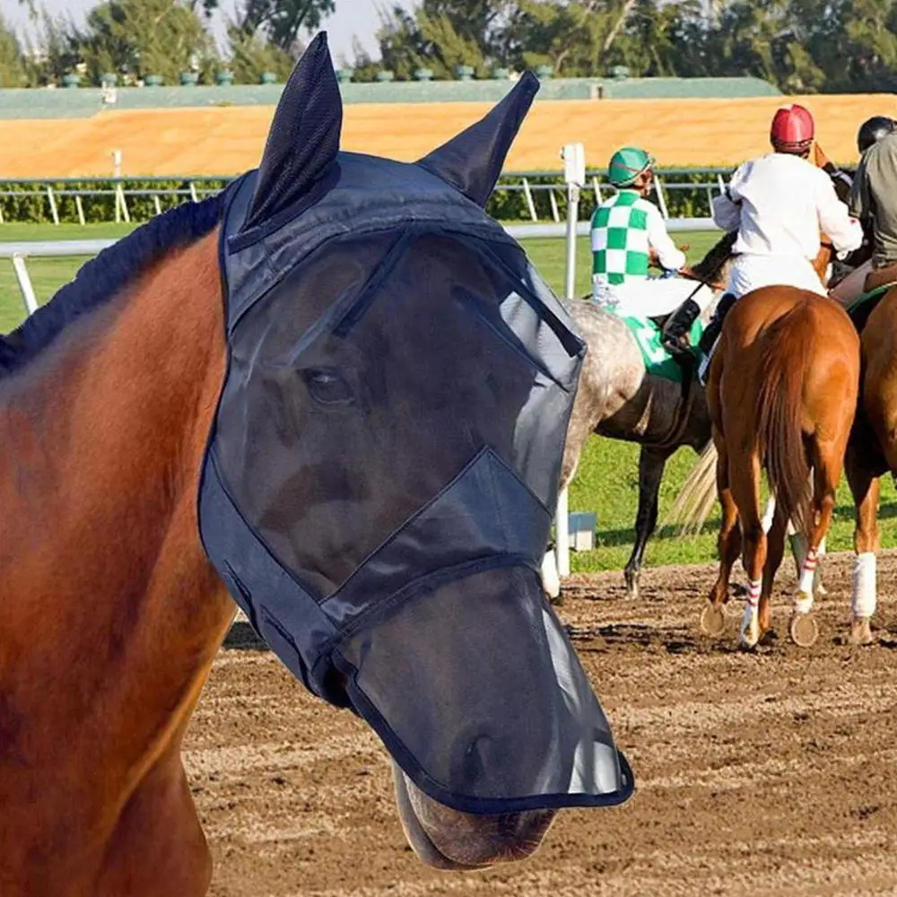 Horse Mask Breathable And Comfortable Anti-Mosquito Horse Mask
Horse Mask Breathable And Comfortable Anti-Mosquito Horse Mask