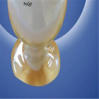 Ngryise 50Gram indole butyric acid 
Ngryise 50Gram indole butyric acid
