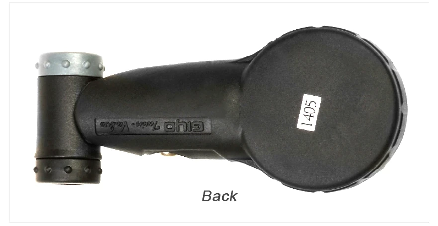 back