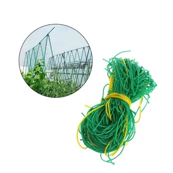 Plant Nets 1.8*1.8M Garden Green Vining Vegetables Orchard Climbing Net Reusable Noylon Grow Fence Fruits Strong Recyclable
Plant Nets 1.8*1.8M Garden Green Vining Vegetables Orchard Climbing Net Reusable Noylon Grow Fence Fruits Strong Recyclable