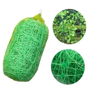 Plant Trellis Netting Pea Netting Green Garden Netting Trellis Net for Bean Fruits Vegetables Climbing Plants
Plant Trellis Netting Pea Netting Green Garden Netting Trellis Net for Bean Fruits Vegetables Climbing Plants