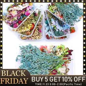 1 Box Mixed Real Dried Flowers Dry Plants Pressed Flowers for Epoxy Resin Pendant Necklace Jewelry Making Craft DIY Accessories
1 Box Mixed Real Dried Flowers Dry Plants Pressed Flowers for Epoxy Resin Pendant Necklace Jewelry Making Craft DIY Accessories