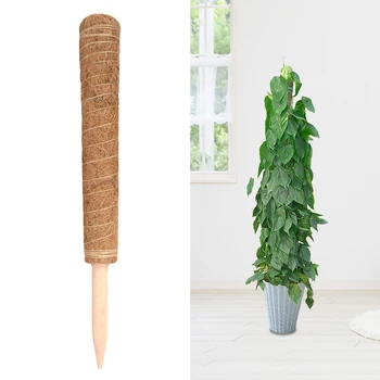 Coir Moss Pole Totem Stick Yard Vine Stake Frame Indoor Grow Plants Support Climbing Extension Home Garden Creepers Household
Coir Moss Pole Totem Stick Yard Vine Stake Frame Indoor Grow Plants Support Climbing Extension Home Garden Creepers Household