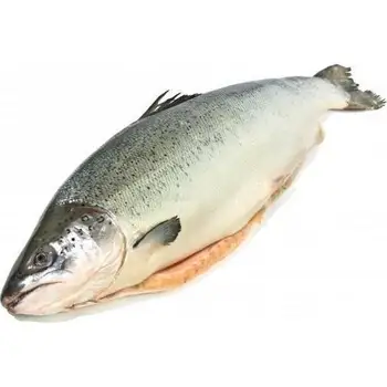 Trout cooled
Trout cooled