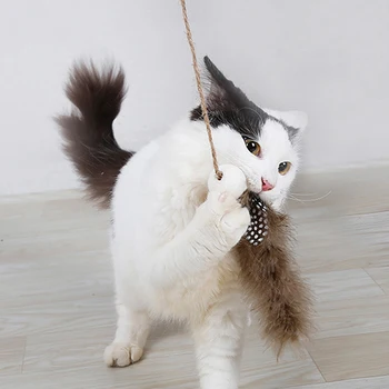 Creative Funny Cat Toy Eco-friendly Safety Natural Feather Felt Cloth Circle Bell Toy High Quality Household Pet Cat Toys
Creative Funny Cat Toy Eco-friendly Safety Natural Feather Felt Cloth Circle Bell Toy High Quality Household Pet Cat Toys