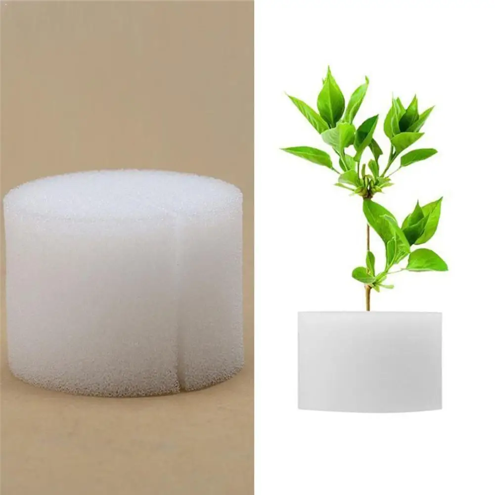 Hydroponic Gardening Plant Tools Soilless Hydroponic System Vegetables Nursery Nursery Sponge Flower Trays Cultivation Pots A6D2
Hydroponic Gardening Plant Tools Soilless Hydroponic System Vegetables Nursery Nursery Sponge Flower Trays Cultivation Pots A6D2